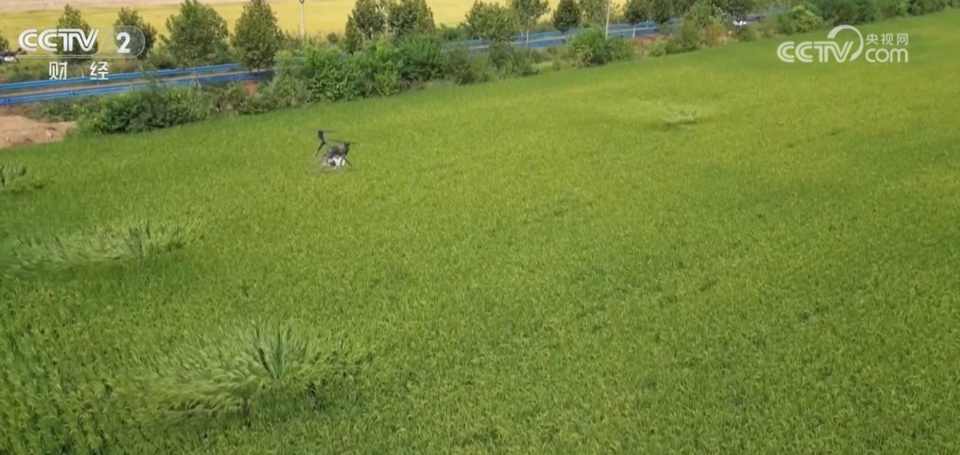 2025媒体管家官网:催生无人机“飞手”考证热 目前操控员就业人才缺口大