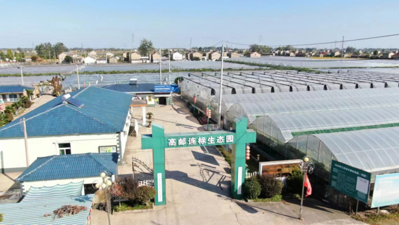 一镇一企|高邮市连标生态园:电商发展为绿色食品插上“云翅膀”