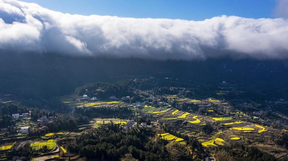 为什么彩虹是弯的？为什么航迹云有时出现有时没有？为什么雪后的世界特别安静？这些知识等你来get！