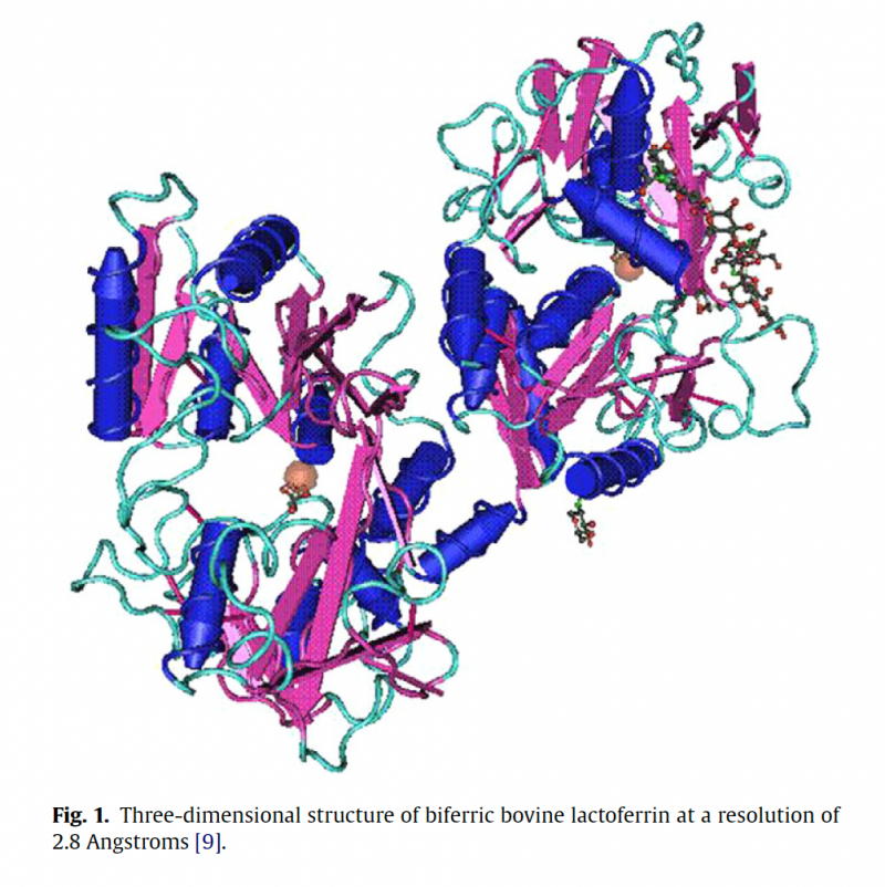 IGG鹦鹉产品乳铁蛋白0乳糖，开启健康生活新篇章！(图1)