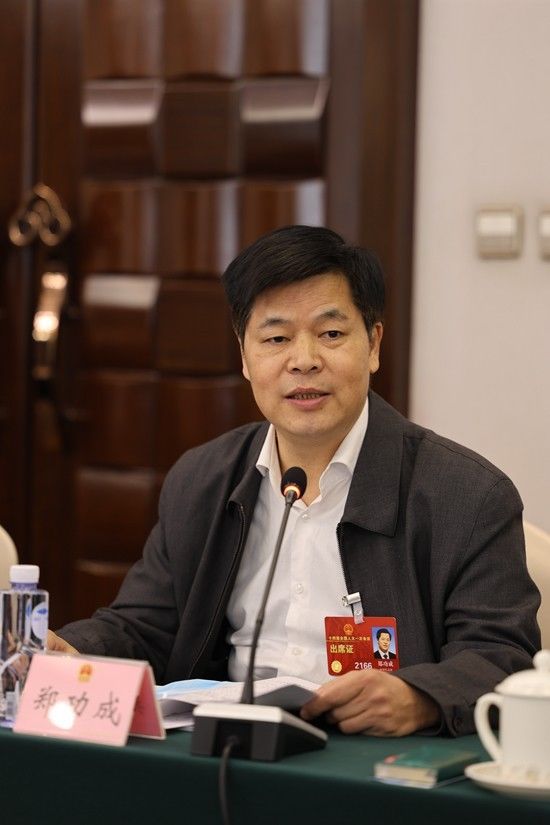 养老不能“头痛医头、脚痛医脚”全国人大常委会委员郑功成建议：加快制定一部养老服务法