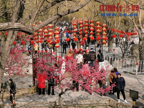 【新春走基层】北京：逛庙会，让“年味”拉满(图2)