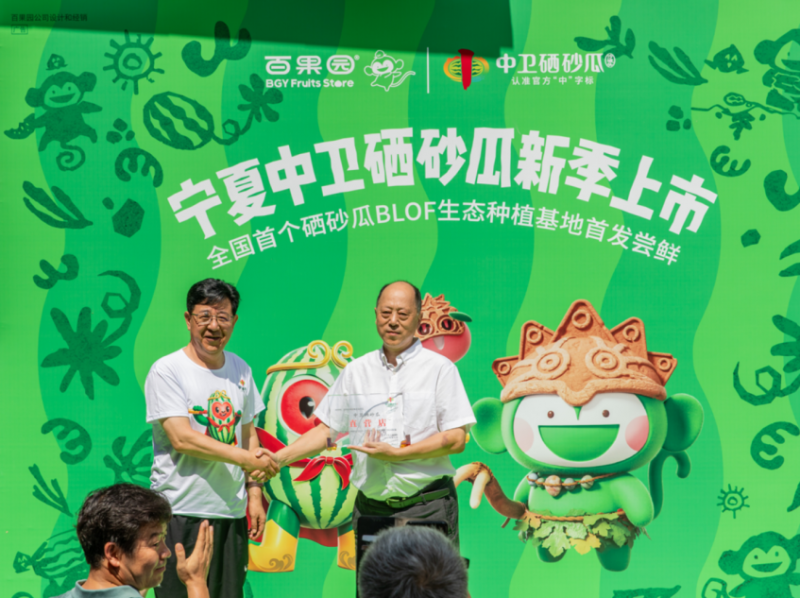 中卫X百果园六城推介硒砂瓜 百果园今年加码采购1.2万吨