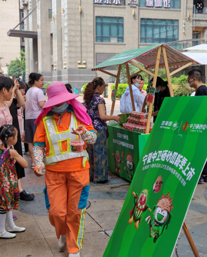 中卫X百果园六城推介硒砂瓜 百果园今年加码采购1.2万吨