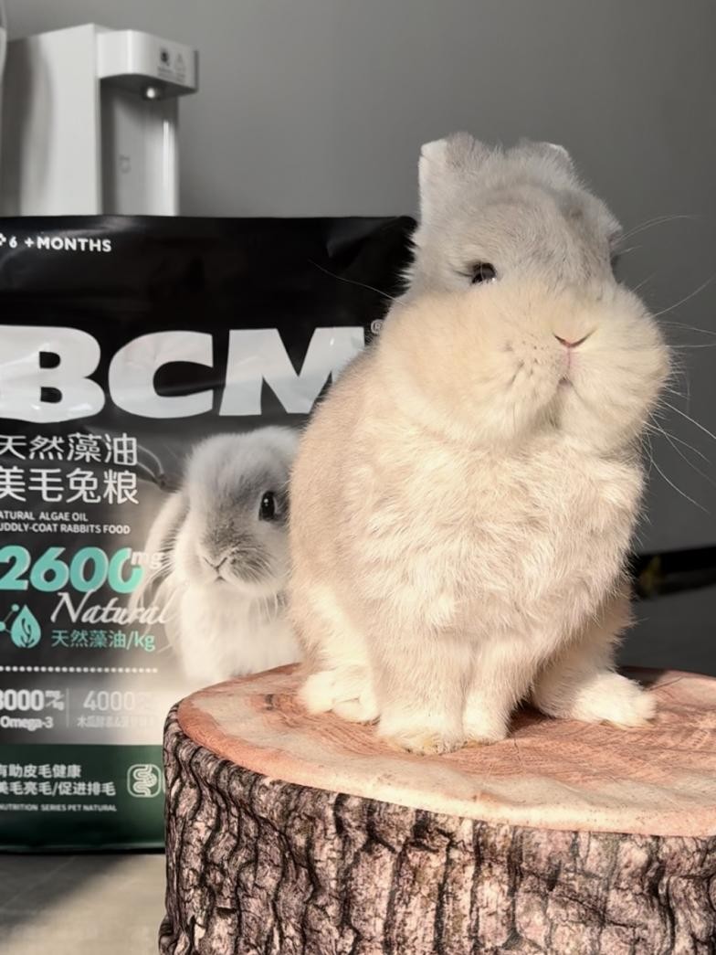 BCM兔粮用低温烘焙工艺 树立高品质小宠食品领域的新标杆！(图3)