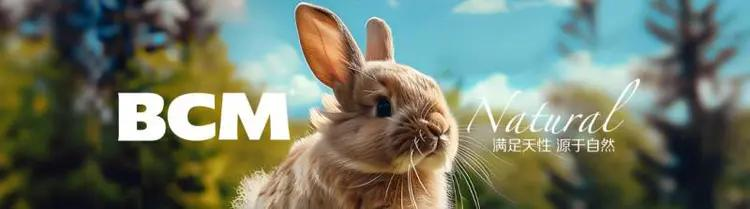 BCM美毛兔粮:科学养兔新选择,终结换季掉毛“噩梦”!(图17) BCM美毛兔粮:科学养兔新选择,终结换季掉毛“噩梦”!(图17)