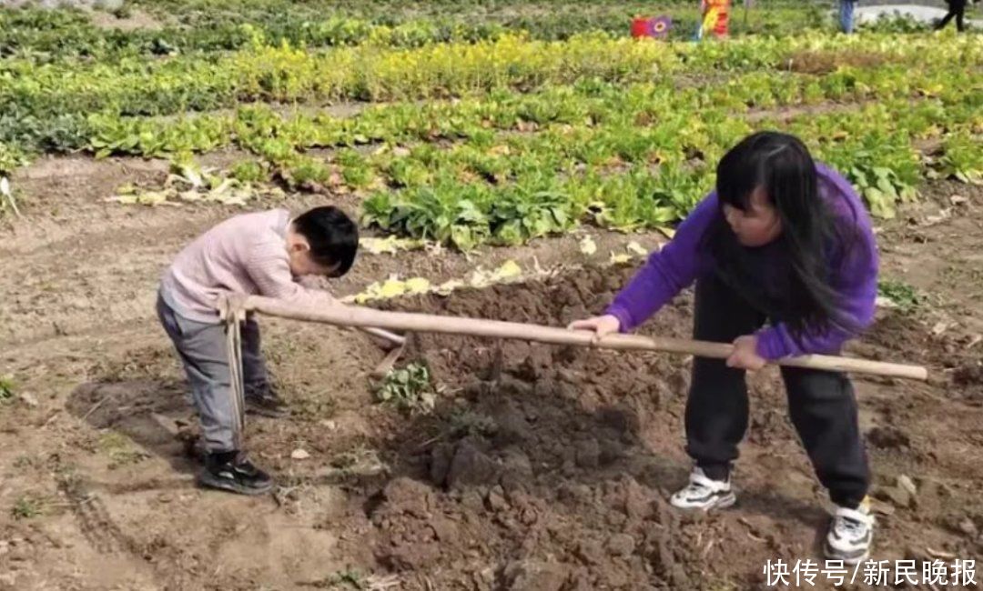 3月25日·上海早新闻