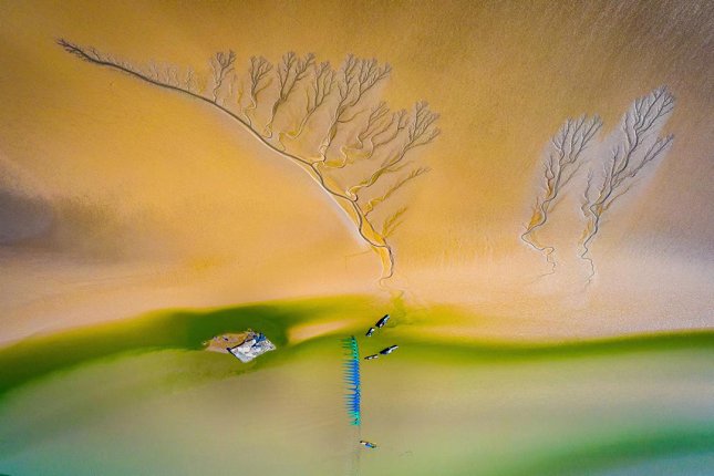 12个重大项目集中签约、计划总投资167亿元！盐城（上海）长三角高质量发展合作恳谈会举行